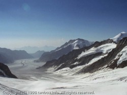 アレッチ氷河