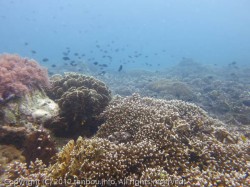 イーグルポイント