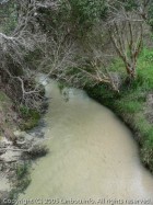 イーライクリーク