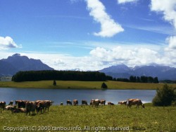 フォルッゲン湖