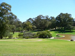 キングスパーク