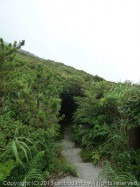 白島登山道
