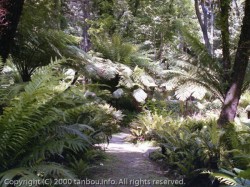 ペナ宮までの道