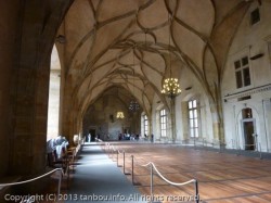 ヴラディスラフホール